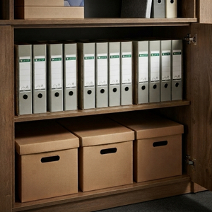 Archivboxen stehen in einem Schrank
